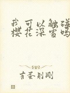 我可以触碰你的樱花深处吗封面