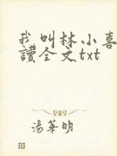 我叫林小喜全阅读全文txt