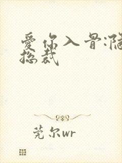 爱你入骨:隐婚总裁封面