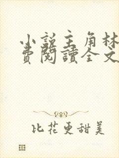 小说主角林风免费阅读全文