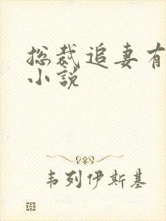 总裁追妻有点忙小说