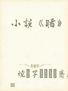 小说《赌》