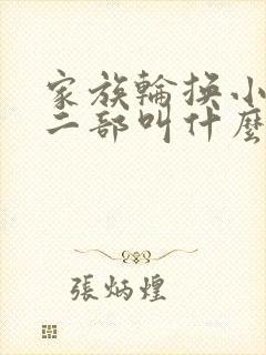家族轮换小说第二部叫什么名字封面