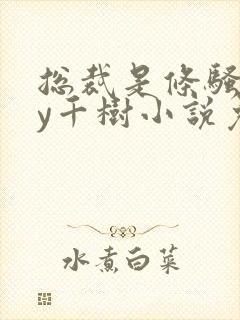 总裁是条骚狗by千树小说免费阅读