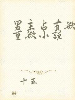 男主占有欲强且重欲小说