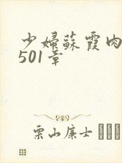 少妇苏霞肉欲第501章