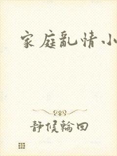 家庭乱情小说封面