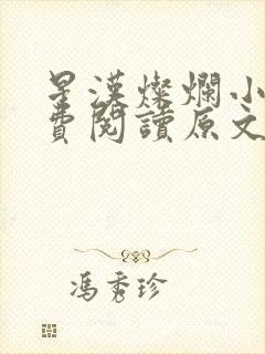 星汉灿烂小说免费阅读原文