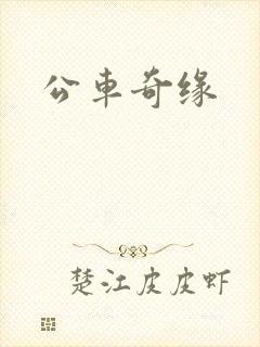 公车奇缘