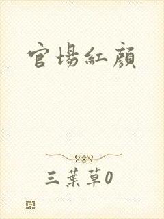 官场红颜封面