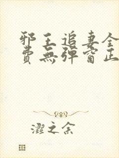 邪王追妻全文免费无弹窗正版