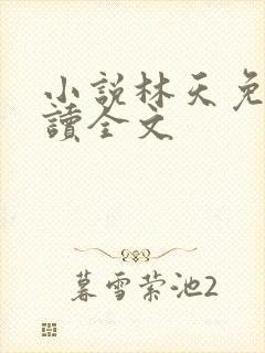 小说林天免费阅读全文封面