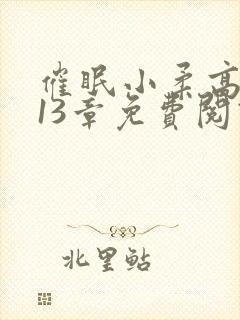 催眠小柔高达第13章免费阅读