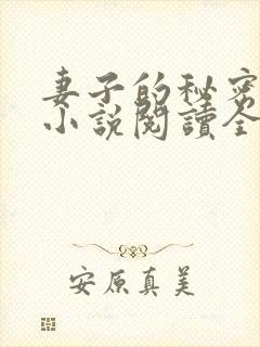 妻子的秘密吴双小说阅读全文