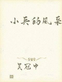 小兵的风采封面