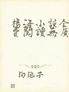 杨洛小说全文免费阅读无广告下载