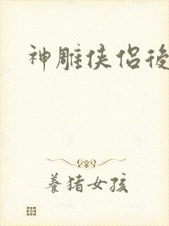神雕侠侣后传封面