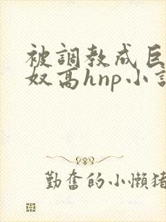 被调教成巨乳奶奴高hnp小说