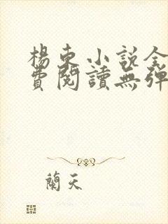 杨东小说全文免费阅读无弹窗封面