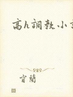 高h调教小说