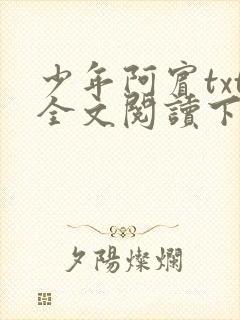 少年阿宾txt全文阅读下载