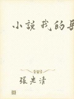 小说 我的岳母