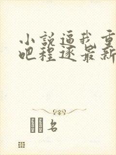 小说逼我重生是吧程逐最新更新