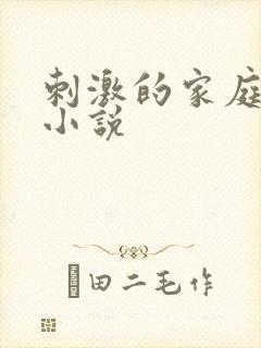 刺激的家庭乱仑小说