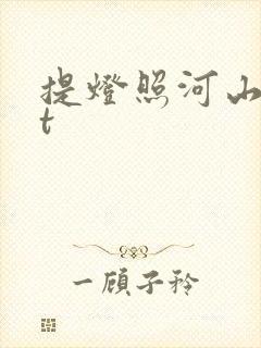 提灯照河山txt