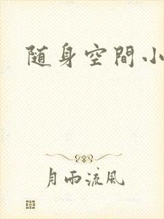 随身空间小说