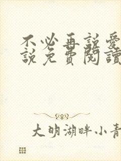 不必再说爱我小说免费阅读无弹窗