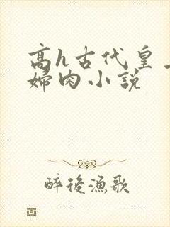 高h古代皇上寡妇肉小说