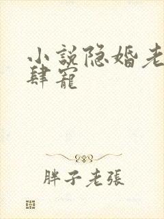 小说隐婚老公放肆宠封面