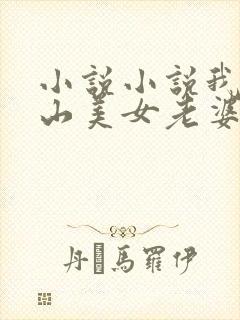 小说小说我的冰山美女老婆封面
