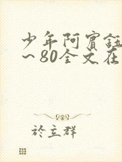 少年阿宾钰慧1～80全文在线阅读封面