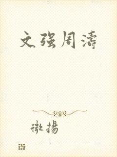 文强周涛
