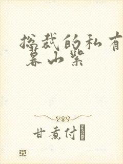 总裁的私有宝贝 暮山紫