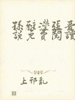 孙雅滢张晋的小说免费阅读无弹窗