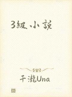 3级小说封面