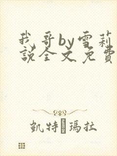 我哥by雪莉小说全文免费阅读