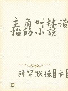 主角叫林浩李静怡的小说封面