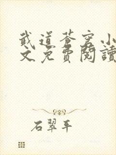 武道苍穹小说全文免费阅读