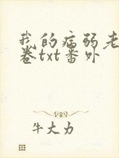 我的病弱老婆花卷txt番外
