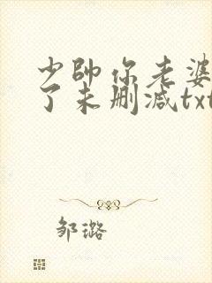 少帅你老婆又跑了未删减txt