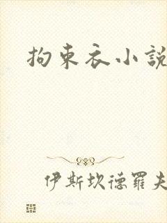 拘束衣小说封面
