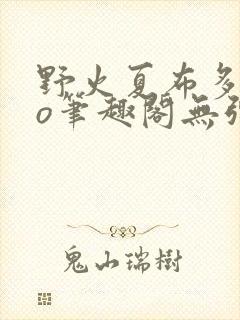 野火夏布多昂po笔趣阁无弹窗