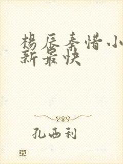 杨辰秦惜小说更新最快
