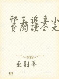 邪王追妻小说免费阅读全文无删减