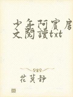 少年阿宾房东全文阅读txt