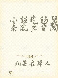 小说我的儿媳是秦岚免费阅读